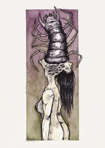 Parasite